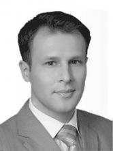 партнер, руководитель GRC услуг , HLB Внешаудит, Москва, РФ